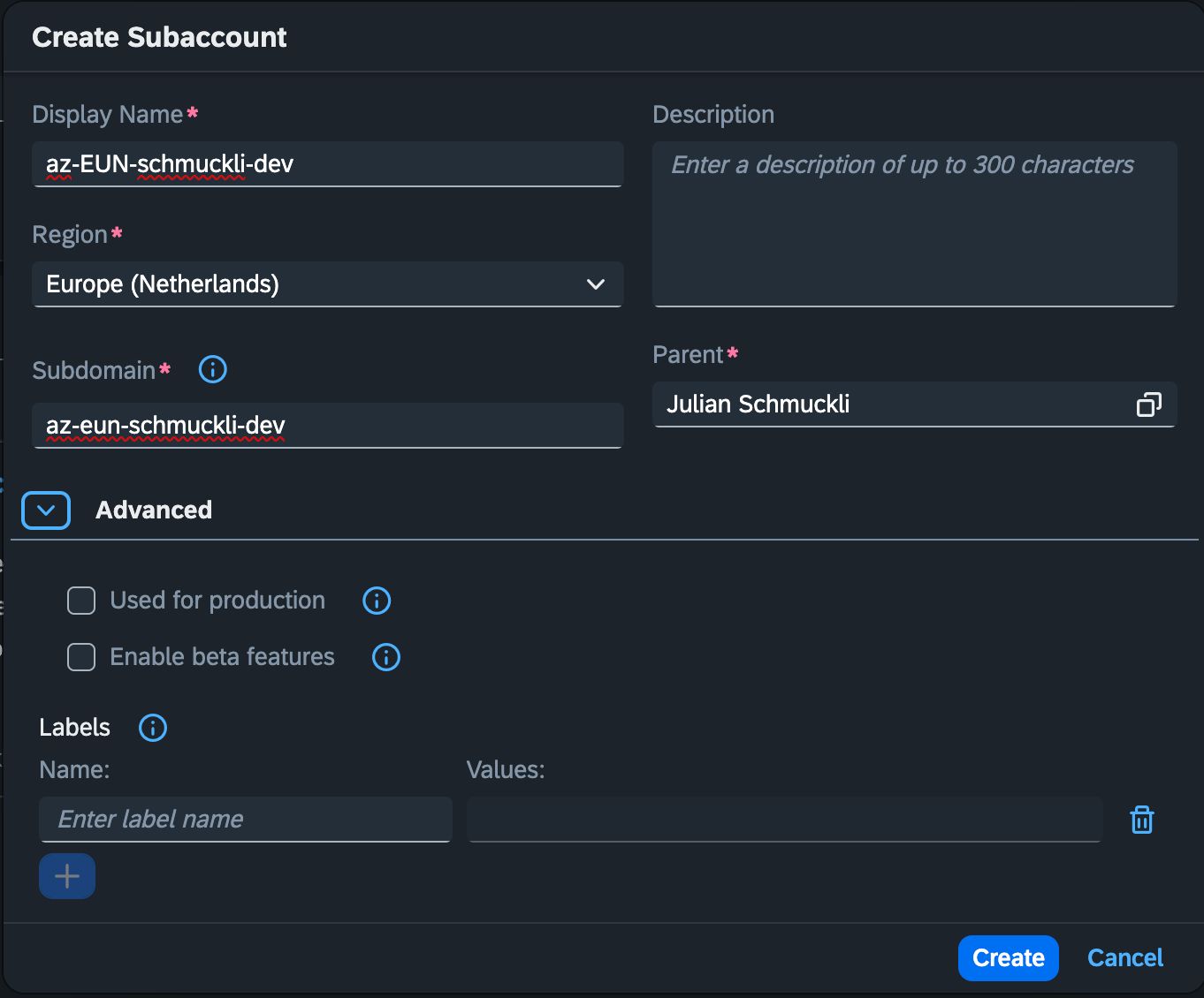 How to setup an SAP BTP Free tier account with Cloud Foundry?