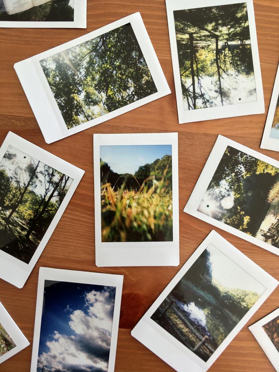 photos on brown wooden table